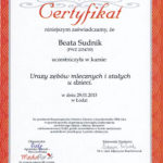 Beata Sudnik Beata Sudnik