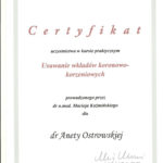 Aneta Jankowska Aneta Jankowska